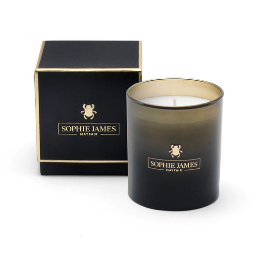 Sophie James Mayfair - The Beetle Candle